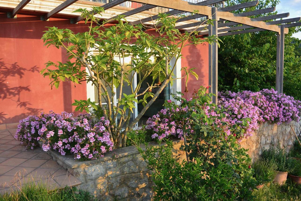 Vilanova de Escornalbou L'Albaida, Tranquility, Views Of Sea And Mountains 아파트 외부 사진