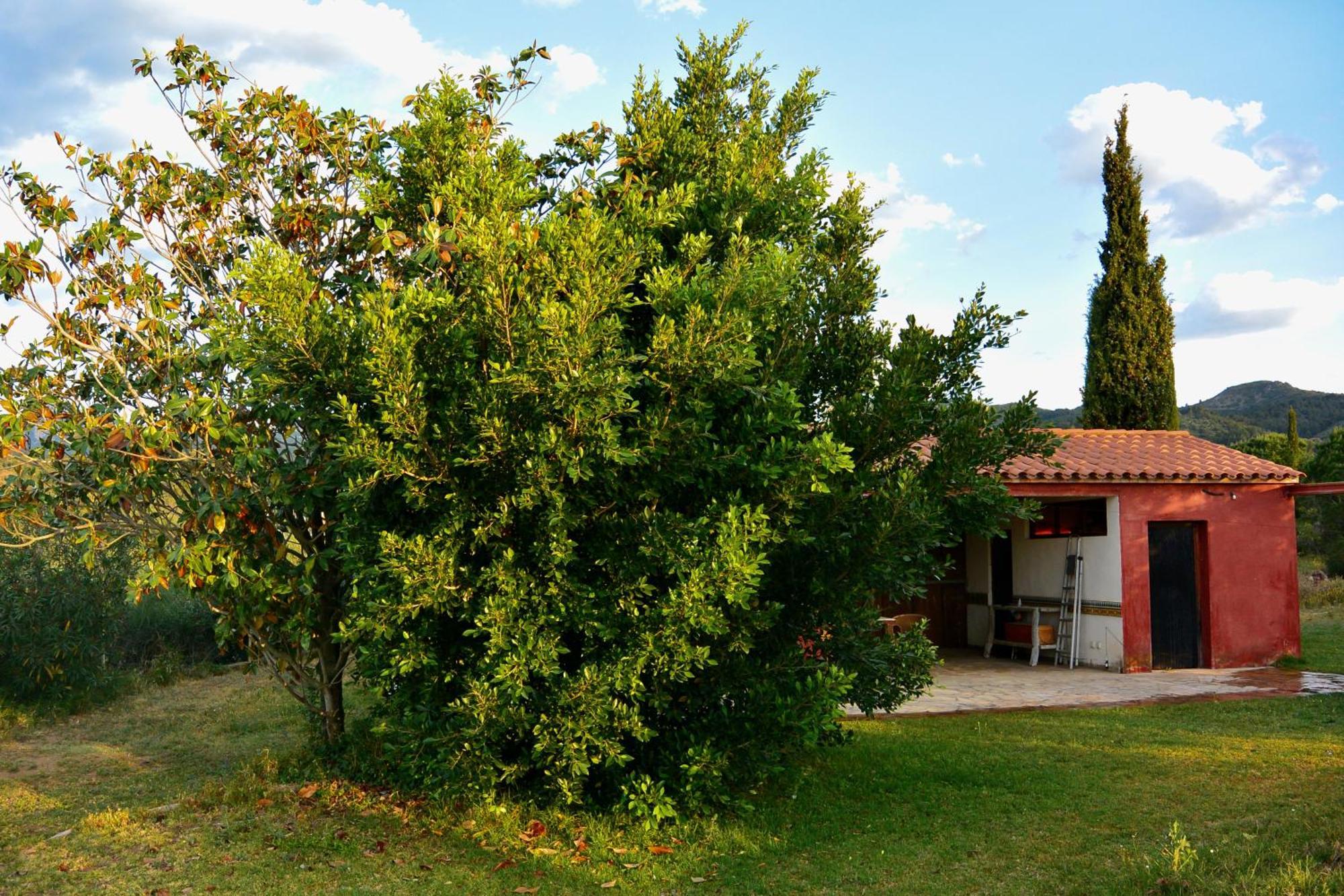 Vilanova de Escornalbou L'Albaida, Tranquility, Views Of Sea And Mountains 아파트 객실 사진