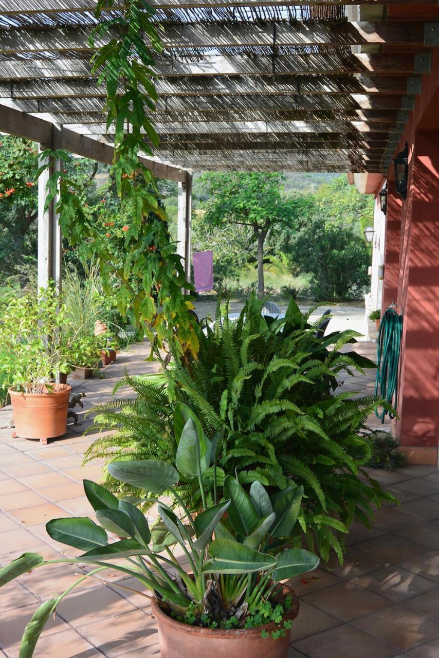 Vilanova de Escornalbou L'Albaida, Tranquility, Views Of Sea And Mountains 아파트 외부 사진